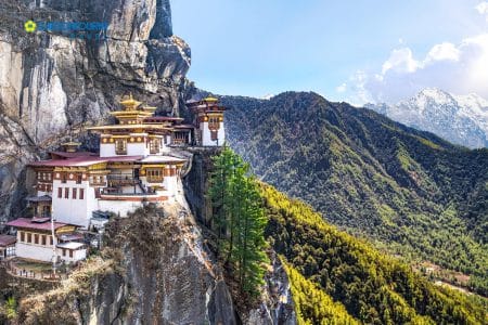 Công ty lữ hành hành đầu Việt Nam